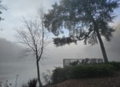 Thumbnail 66 of 66 - walton on the chattahoochee morning views