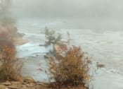 Thumbnail 65 of 66 - walton on the chattahoochee river views