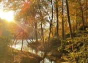 Thumbnail 64 of 66 - walton on the chattahoochee creek trails