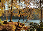 Thumbnail 63 of 66 - Walton on the Chattahoochee River views