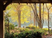Thumbnail 62 of 66 - Walton on the Chattahoochee Gazebo