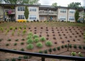 Thumbnail 56 of 66 - Chattahoochee Riverside Community Views