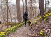 Thumbnail 22 of 66 - Walton on the Chattahoochee Trails, Atlanta GA