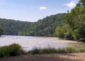 Thumbnail 35 of 66 - Walton on the Chattahoochee, Atlanta GA