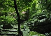 Thumbnail 26 of 66 - Walton on the Chattahoochee, Atlanta GA