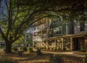 Thumbnail 12 of 48 - The Legacy at Walton Oaks Apartment Homes, Augusta GA Abundant Shade Areas
