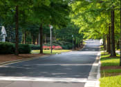 Thumbnail 9 of 33 - Walton Reserve Apartment Homes Tree Lined Streets