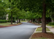Thumbnail 20 of 34 - Walton Ridenour Tree Lined Streets