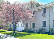 Thumbnail 23 of 37 - Building Exterior at Brookwood at Ridge, Ridge, 11961