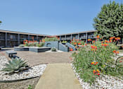 Thumbnail 35 of 38 - a courtyard with plants and flowers in front of a building