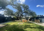 Thumbnail 48 of 48 - a yard with a tree in the middle of a building