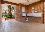 Thumbnail 21 of 23 - the lobby or reception area of a building with a urinal and a palm tree