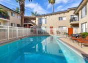 Thumbnail 8 of 23 - our apartments have a large pool and lounge chairs