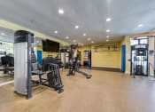 Thumbnail 14 of 60 - premier gym equipment at The Meadows at Westlake Village Apartments, Westlake Village, CA