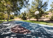 Thumbnail 51 of 60 - Basketball court at The Meadows at Westlake Village Apartments,California, 91361