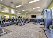 Thumbnail 23 of 34 - A spacious gym with a variety of equipment including treadmills, weights, and exercise machines.