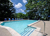 Thumbnail 3 of 12 - A swimming pool surrounded by trees and blue lounge chairs.