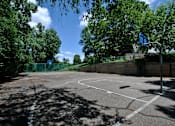 Thumbnail 9 of 12 - A basketball court surrounded by trees and a basketball hoop.
