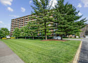 Thumbnail 1 of 30 - A large tree in front of a multi-story apartment building at Independence Place Apartments, Parma Heights, OH