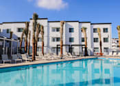 Thumbnail 6 of 12 - A pool in front of a white building with palm trees.