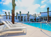 Thumbnail 8 of 12 - A pool area with sun loungers and palm trees.