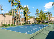Thumbnail 5 of 16 - A tennis court surrounded by palm trees and buildings.