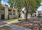 Thumbnail 3 of 24 - A tree in front of a building with a brownish ground.