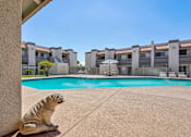 Thumbnail 4 of 24 - A seal statue is sitting by a pool.