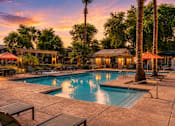 Thumbnail 3 of 25 - A pool surrounded by palm trees and lounge chairs.