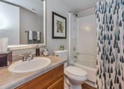 Thumbnail 9 of 19 - Bathroom at Olive East Apartments