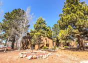 Thumbnail 19 of 23 - BBQ Grill area at University West Apartments in Flagstaff AZ 2021