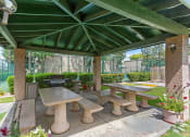 Thumbnail 22 of 22 - BBQ Picnic Area at Shorebird Apartments in Mesa Arizona