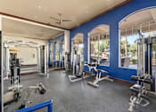 Thumbnail 17 of 23 - A gym with a variety of equipment including a treadmill, weights, and a bench press.