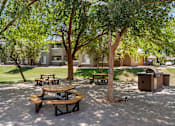 Thumbnail 10 of 19 - Picnic tables and benches are surrounded by trees in a sunny park.