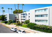 Thumbnail 7 of 36 - A white building with a palm tree in front of it.
