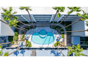 Thumbnail 4 of 36 - A swimming pool surrounded by trees and a white wall.