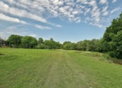 Thumbnail 47 of 64 - Grass Area at The Villas at Quail Creek Apartments in Austin Texas June 2021