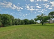 Thumbnail 46 of 64 - Grass Area at The Villas at Quail Creek Apartments in Austin Texas June 2021