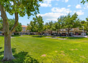 Thumbnail 30 of 36 - Grass Field at Somerset Village in Kingman Arizona