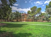 Thumbnail 40 of 43 - Landscaping at The View At Catalina Apartments in Tucson, AZ