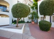 Thumbnail 17 of 29 - Landscaping at University Park Apartments