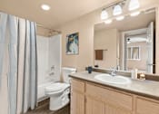 Thumbnail 5 of 24 - bathroom at Silver Cliffs Apartments in Bullhead City Arizona
