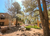 Thumbnail 18 of 23 - Picnic Area at University West Apartments in Flagstaff AZ 2021