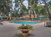 Thumbnail 25 of 43 - Pool & Pool Patio at The View At Catalina Apartments in Tucson, AZ