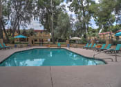 Thumbnail 21 of 43 - Pool & Pool Patio at The View At Catalina Apartments in Tucson, AZ