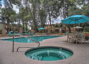 Thumbnail 24 of 43 - Pool, Pool Patio & Spa at The View At Catalina Apartments in Tucson, AZ