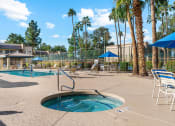 Thumbnail 14 of 22 - Spa and pool Area at Shorebird Apartments in Mesa Arizona