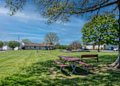 Thumbnail 12 of 26 - A picnic table sits in a grassy field with a tree to the right.