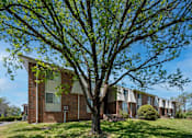 Thumbnail 14 of 26 - A tree in front of a building with a clear blue sky.