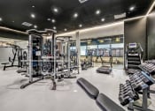 Thumbnail 28 of 41 - a gym with weights and cardio equipment at the mansion at Up House, Farmington, CT